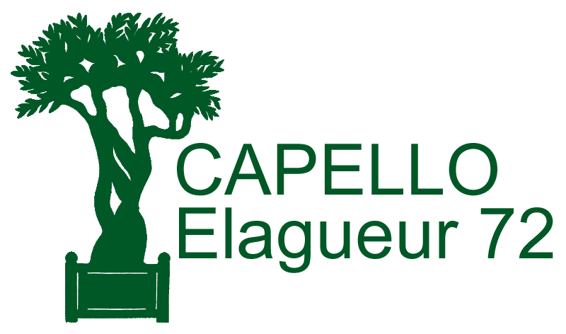 Entreprise CAPELLO Elagueur 72